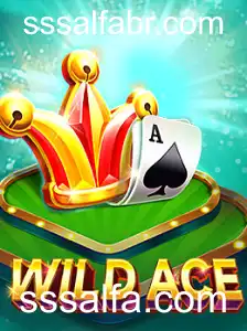 Explorando o Mundo de WildAce: Um Guia Completo